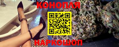 apvp Канаш