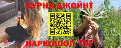 apvp Канаш