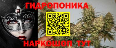 apvp Канаш