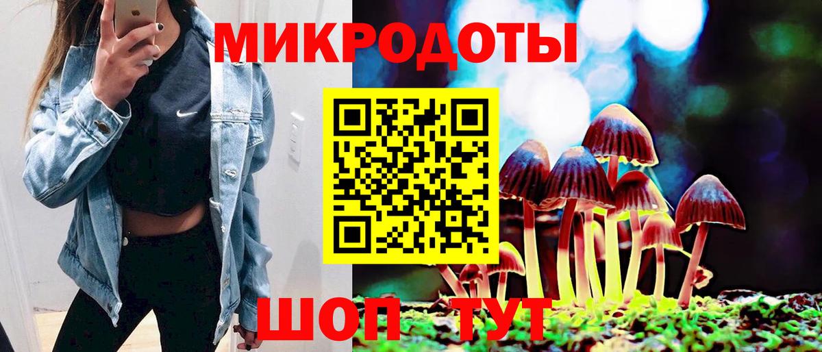 Псилоцибиновые грибы Psilocybine cubensis Кольчугино