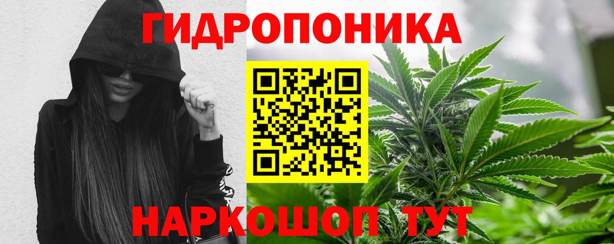 Бошки Шишки Bruce Banner Кольчугино